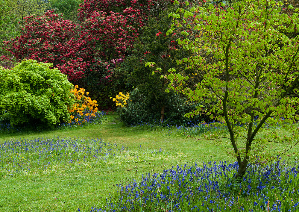 Furzey Gardens New Forest April Colours 2